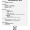 ContaminantLaboratory+Report+-+IGF-1-LR3+1mg+Yellow+-+Certified+Peptides+-+08.23.2025